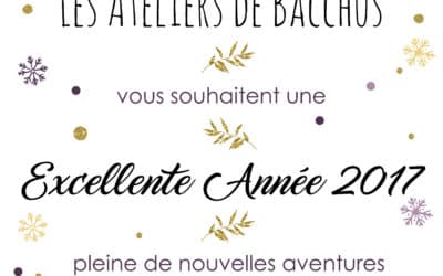 Bonne année 2017!
