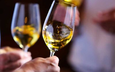 POURRITURE NOBLE à Sauternes, histoire ou légende?