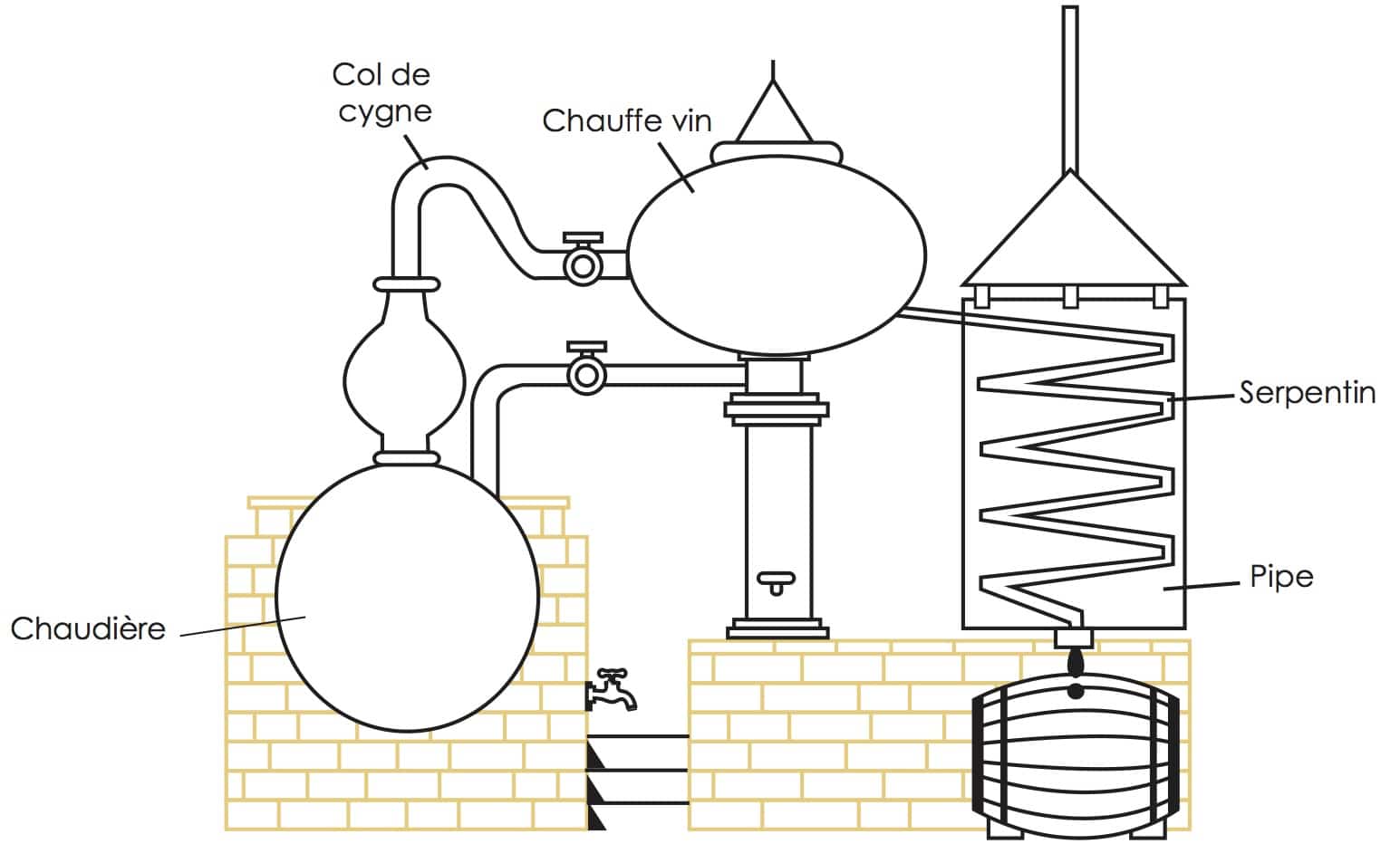 les-eaux-de-vie-l-armagnac-et-le-cognac-les-ateliers-de-bacchus
